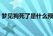 梦见狗死了是什么预兆（梦见狗死了的寓意）