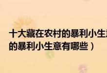十大藏在农村的暴利小生意（农村新型不起眼的商机不起眼的暴利小生意有哪些）