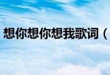 想你想你想我歌词（想你想你想我是谁唱的）