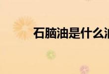 石脑油是什么油（石脑油的介绍）