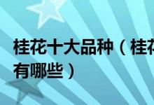 桂花十大品种（桂花有多少种品种桂花的种类有哪些）