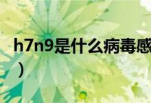 h7n9是什么病毒感染人吗（h7n9病毒的介绍）