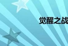 觉醒之战（觉醒之战）
