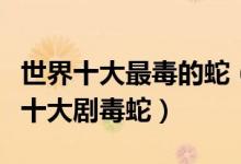 世界十大最毒的蛇（世界上最毒的蛇排名全球十大剧毒蛇）