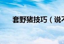 套野猪技巧（说不定学一次你就会了）