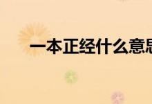一本正经什么意思（一本正经的意思）