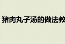 猪肉丸子汤的做法教程（猪肉丸子汤的做法）
