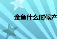 金鱼什么时候产卵（小金鱼怎么养）