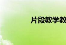 片段教学教案（片段教学）