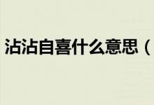 沾沾自喜什么意思（沾沾自喜代表什么含义）