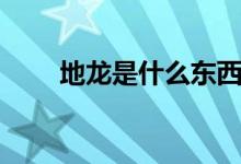 地龙是什么东西（关于地龙的接受）