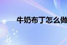 牛奶布丁怎么做（怎么做牛奶布丁）