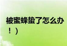 被蜜蜂蛰了怎么办（如何快速处理被蛰的地方！）
