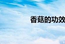 香菇的功效（香菇的作用）
