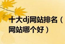 十大dj网站排名（dj音乐网站排行榜DJ舞曲网站哪个好）