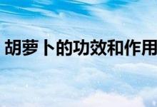 胡萝卜的功效和作用（吃胡萝卜有什么好处）