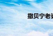 撒贝宁老婆（她的介绍）