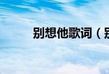 别想他歌词（别想他歌词是什么）