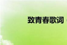 致青春歌词（致青春歌简介）
