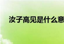 汝子高见是什么意思（汝子高见的意思）