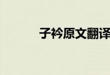子衿原文翻译（子衿原文译文）
