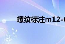 螺纹标注m12-6h含义（螺纹标注）