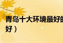 青岛十大环境最好的电影院（青岛看电影哪里好）