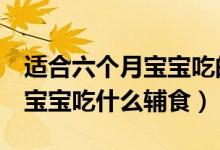 适合六个月宝宝吃的十大辅食食谱（6个月的宝宝吃什么辅食）