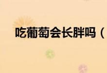 吃葡萄会长胖吗（吃葡萄会导致发胖吗）