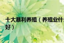 十大暴利养殖（养殖业什么最赚钱农村农村养殖什么好销路好）
