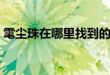 雮尘珠在哪里找到的（雮尘珠最后找到了吗）