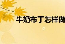 牛奶布丁怎样做（牛奶布丁的做法）
