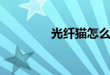 光纤猫怎么设置（光纤猫）