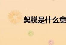 契税是什么意思（契税的意思）
