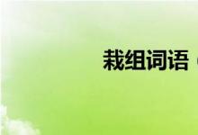 栽组词语（栽咋组词呢）