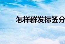 怎样群发标签分组（怎样群发微信）