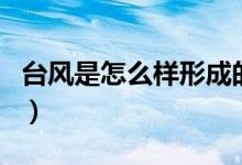 台风是怎么样形成的（关于台风形成原因介绍）