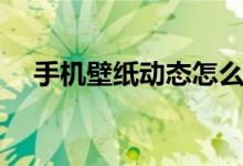 手机壁纸动态怎么设置（手机壁纸动态）