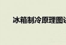 冰箱制冷原理图讲解（冰箱制冷原理）