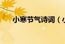 小寒节气诗词（小寒节气的优美诗词）