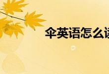 伞英语怎么读（伞英语解释）
