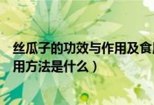 丝瓜子的功效与作用及食用方法（丝瓜子的功效与作用及食用方法是什么）