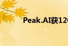 Peak.AI获1200万美元A轮融资