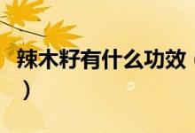 辣木籽有什么功效（辣木籽有什么功效是什么）