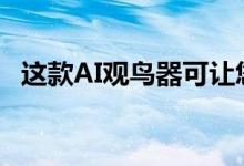这款AI观鸟器可让您通过机器的眼睛“看”