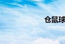 仓鼠球（仓鼠球）
