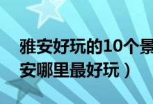 雅安好玩的10个景点（雅安最好玩的地方雅安哪里最好玩）