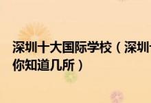 深圳十大国际学校（深圳十大贵族学校排行榜深圳这些学校你知道几所）
