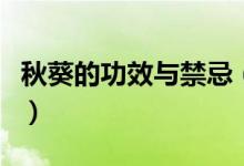 秋葵的功效与禁忌（秋葵的功效与禁忌有哪些）