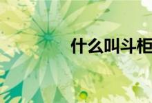 什么叫斗柜（斗柜的作用）